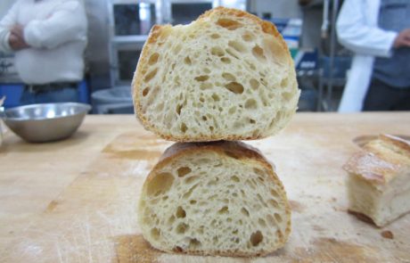 Bakerpedia Artisan Bread, Feb 2017