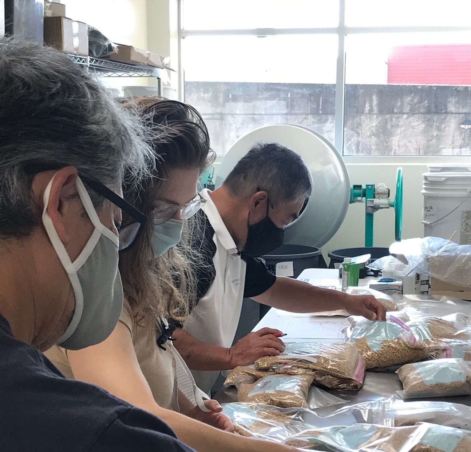Three people wearing face masks work together at a table, sorting and labeling bags filled with what appears to be grains or seeds. The workspace has shelves and lab equipment visible in the background.