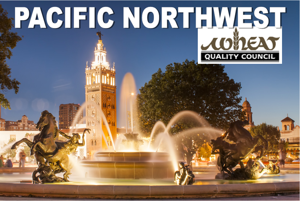 Featured image for: Partner of the Month