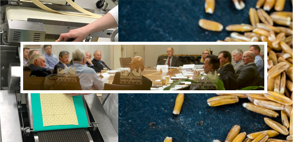 A collage featuring a pasta machine with dough, a close-up of grains, a machine cutting dough into shapes, and a group of people sitting around a conference table in discussion.