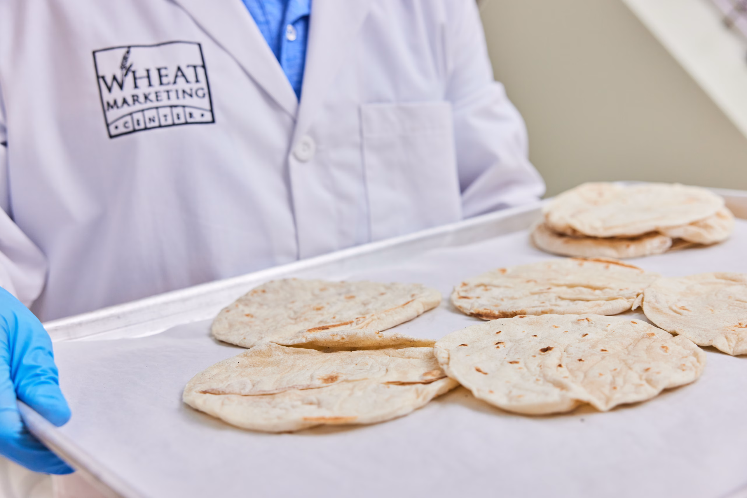 A person in a lab coat and blue gloves holds a tray lined with parchment paper and several pieces of flatbread or tortillas.