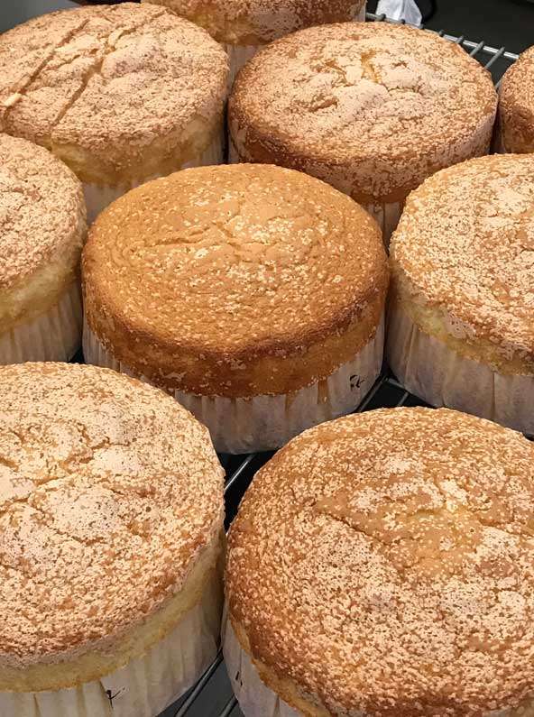 Rows of round, golden-brown sponge cakes in white paper molds, evenly dusted with powdered sugar, sit cooling on a wire rack.