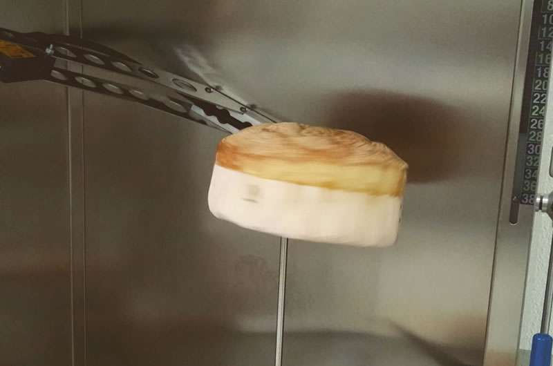 A fluffy biscuit is being held midair by metal tongs in front of a stainless steel oven.